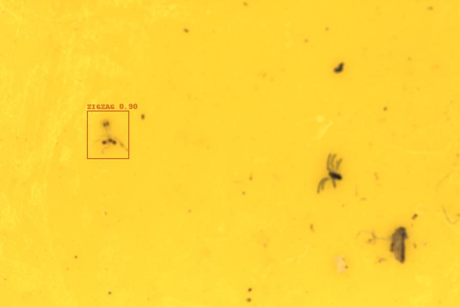 Image 11